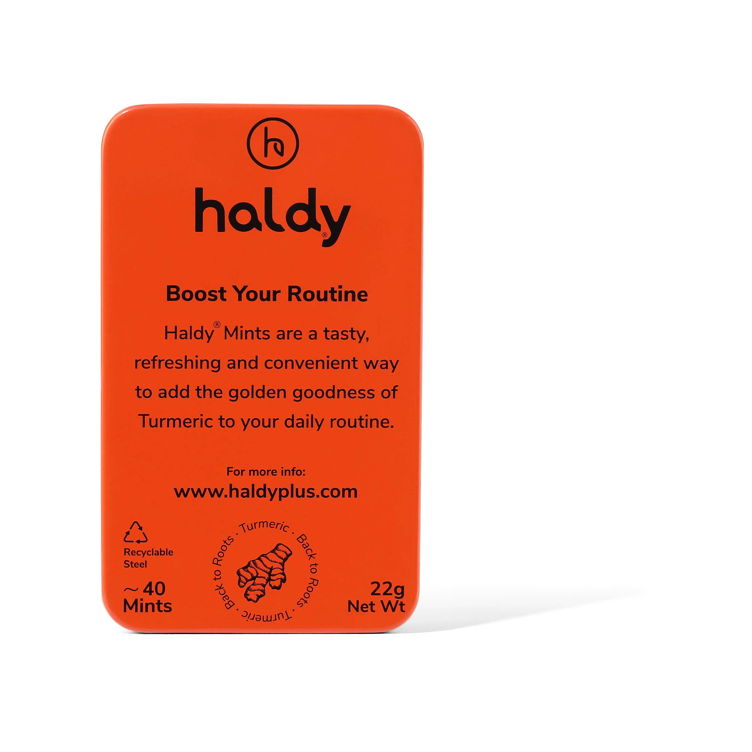 HALDY | Sugarfree Turmeric Mints - Apple Cinnamon (Single Pack) - Image 4