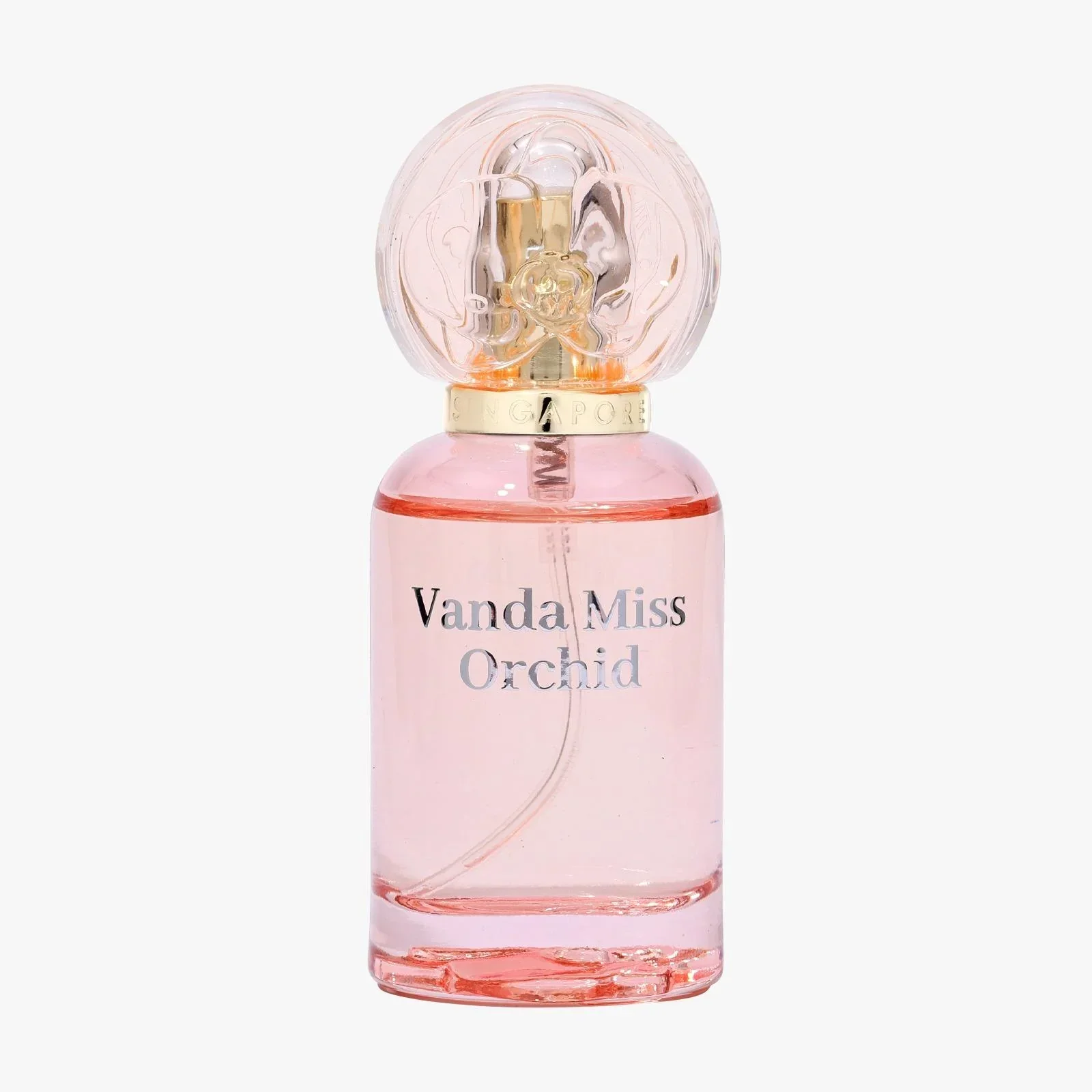 SINGAPORE MEMORIES | Vanda Miss Orchid 20ml - Image 6