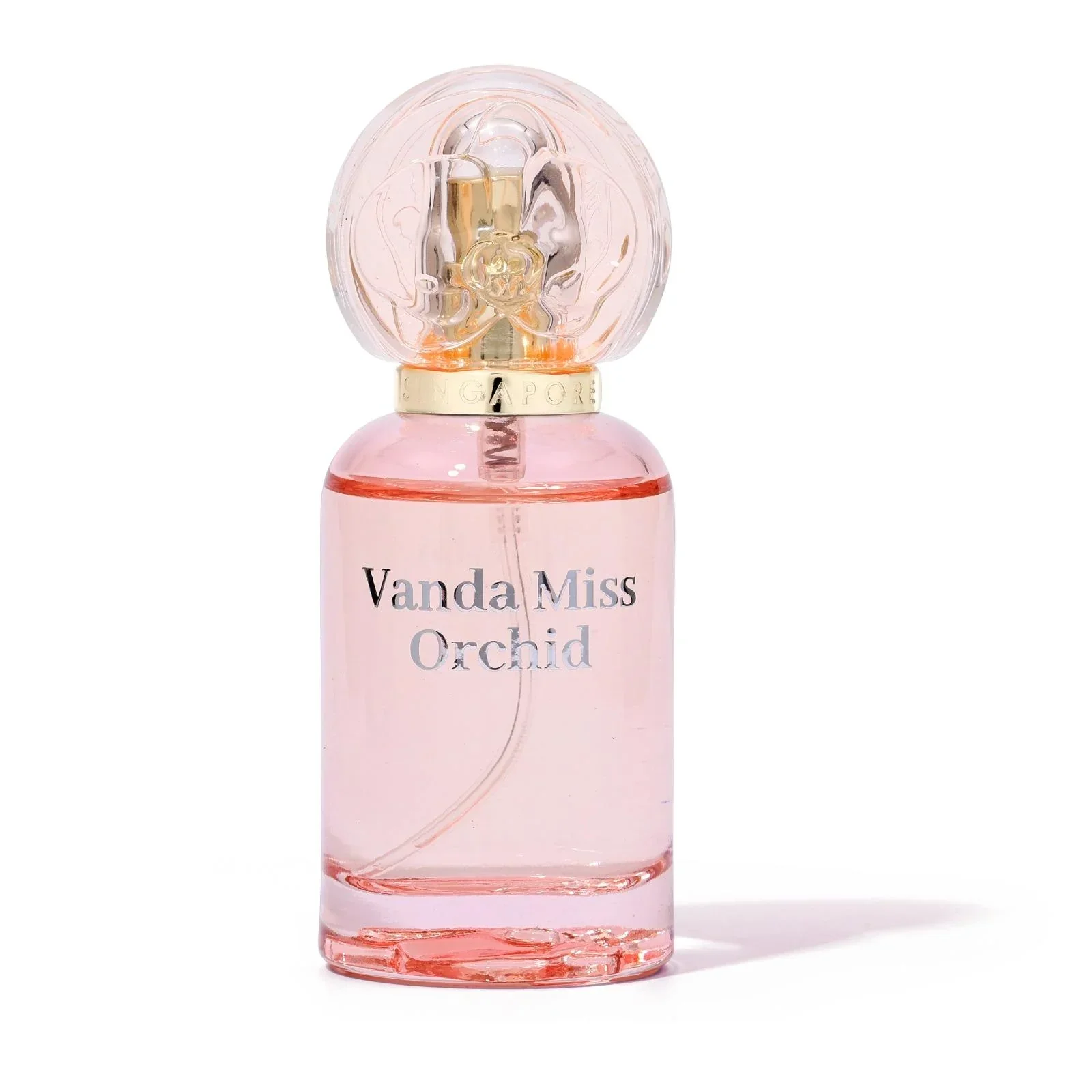 SINGAPORE MEMORIES | Vanda Miss Orchid 20ml - Image 7